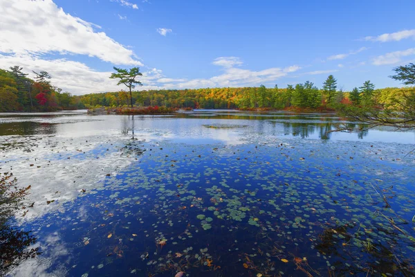 Herbstlandschaft. — Stockfoto