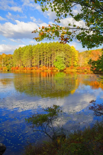 Herbstlandschaft. — Stockfoto