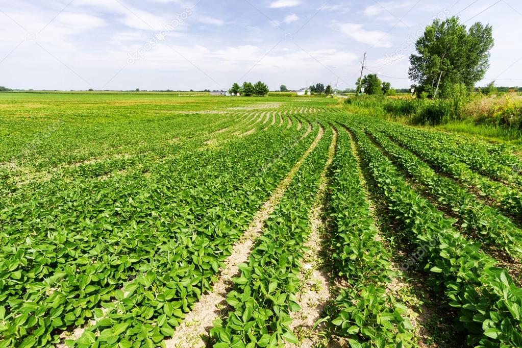 View of farmland.