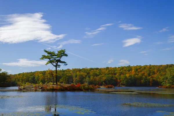 Paisaje otoño . —  Fotos de Stock