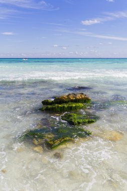 Kristal su ile Karayipler beach.