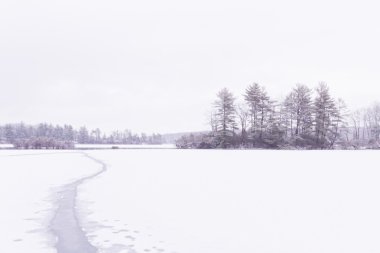 donmuş Orman Gölü