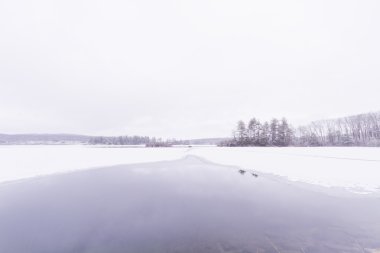 donmuş Orman Gölü