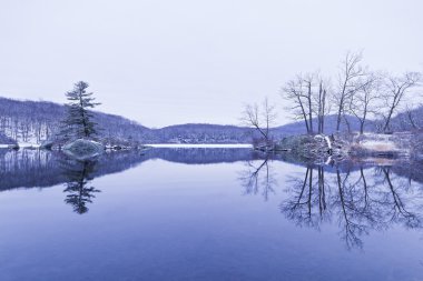 donmuş Orman Gölü