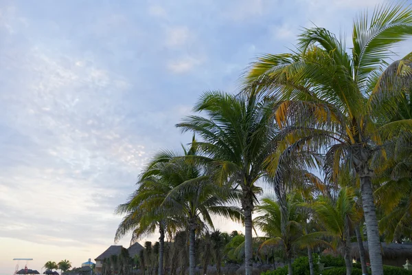 Coucher de soleil sur la plage des Caraïbes . — Photo