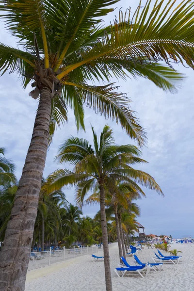 Sunset on Caribbean beach. — Stock Photo, Image