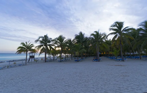 Coucher de soleil sur la plage des Caraïbes . — Photo