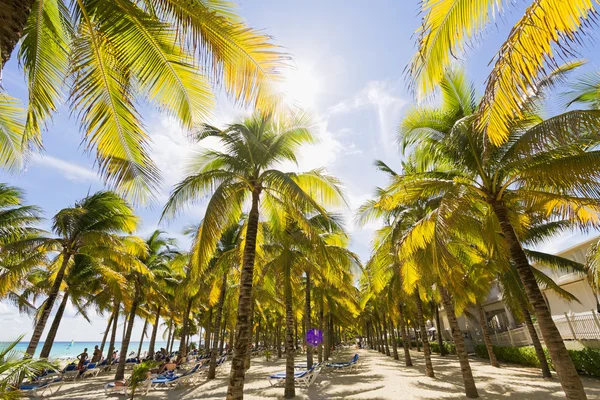 Beautiful Caribbean beach. — Stock Photo, Image