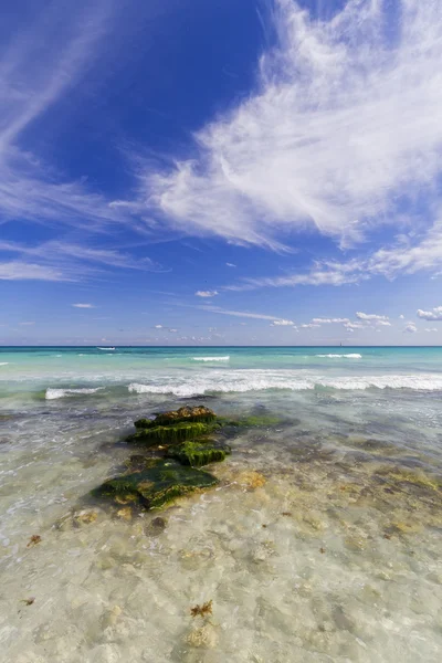 Карибский пляж с кристальной водой . — стоковое фото