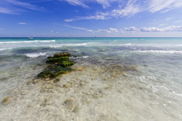 Карибский пляж с кристальной водой . — стоковое фото