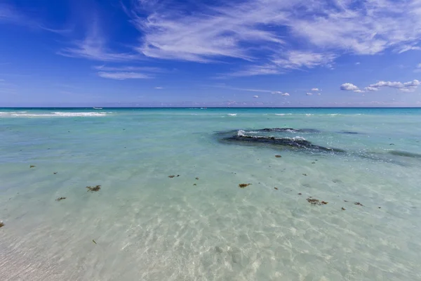 Kristal su ile Karayipler beach. — Stok fotoğraf