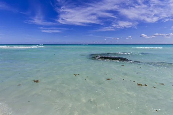 Карибский пляж с кристальной водой . — стоковое фото