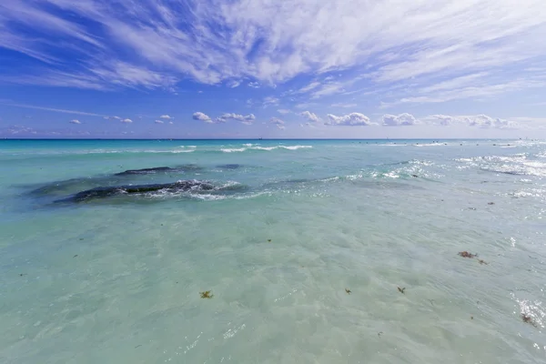 Карибский пляж с кристальной водой . — стоковое фото