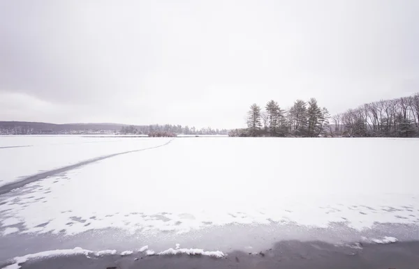 Lago di foresta congelato — Foto Stock
