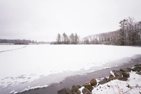 Frozen forest lake — Stock Photo, Image