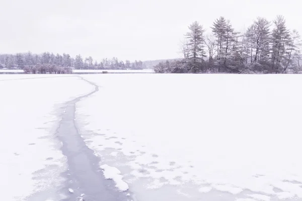 凍結の森林湖 — ストック写真