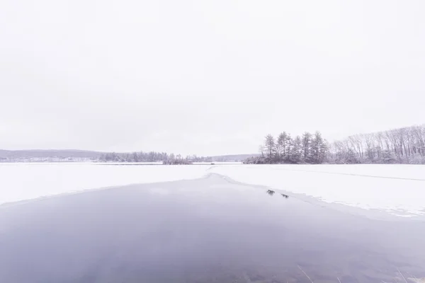 Lago bosque congelado —  Fotos de Stock