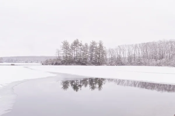 Frozen forest lake — Stock Photo, Image