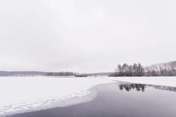 Заморожені Лісове озеро — стокове фото