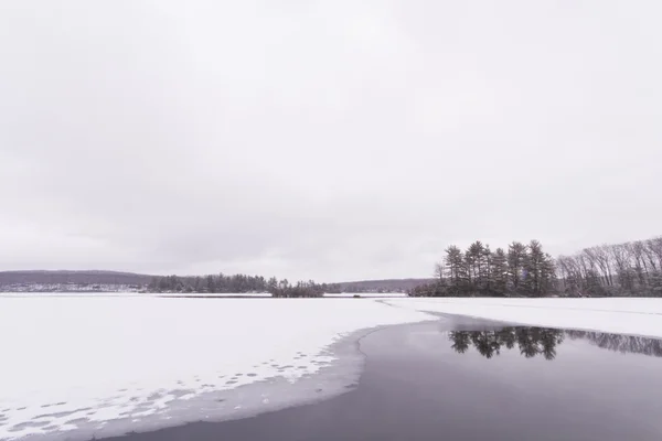 Заморожені Лісове озеро — стокове фото