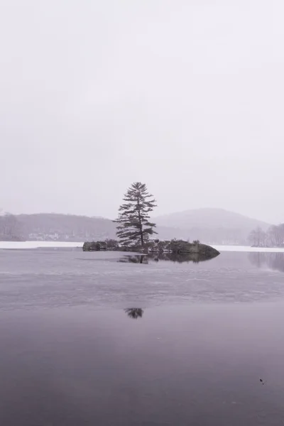 Lago bosque congelado — Foto de Stock