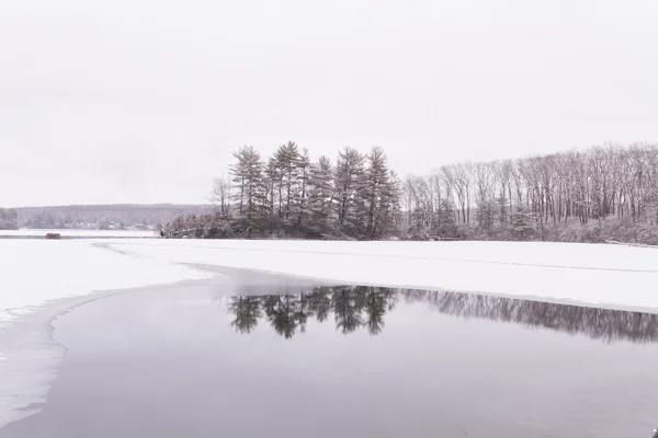 Lago de floresta congelada — Fotografia de Stock