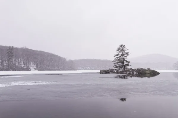 Lago bosque congelado — Foto de Stock