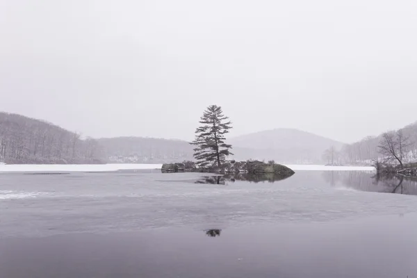 Lago de floresta congelada — Fotografia de Stock