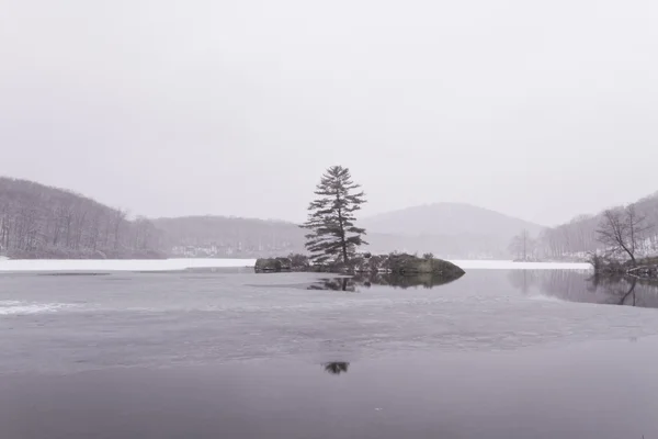 Frozen forest lake — Stock Photo, Image