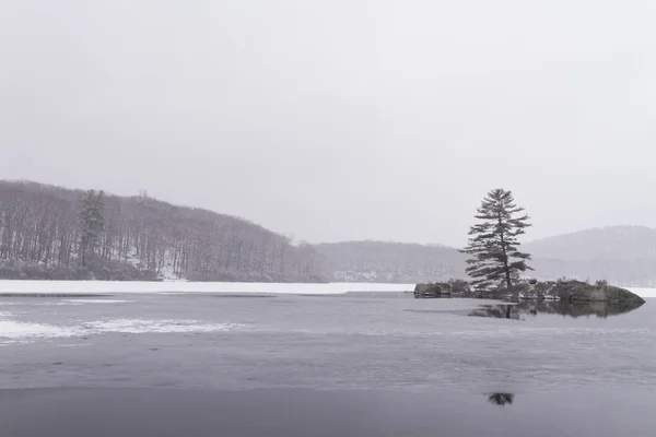 Frozen forest lake — Stock Photo, Image