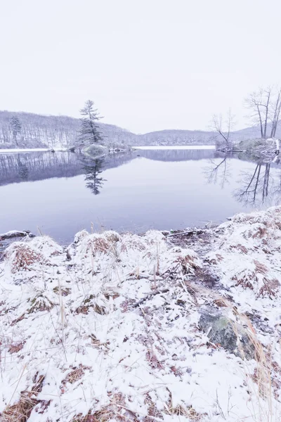 Lago bosque congelado — Foto de Stock