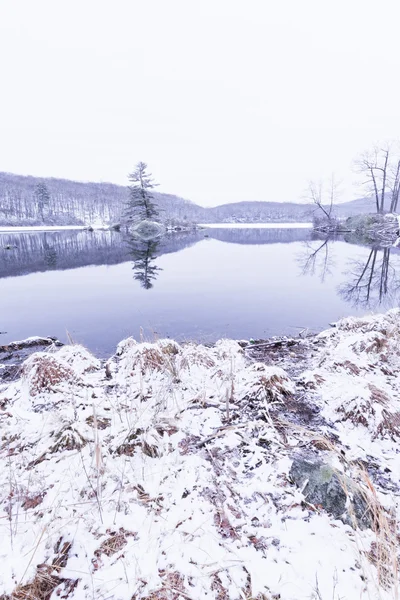 Lago bosque congelado — Foto de Stock