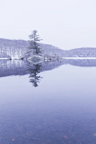 Frozen forest lake — Stock Photo, Image