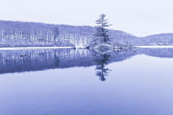 凍結の森林湖 — ストック写真