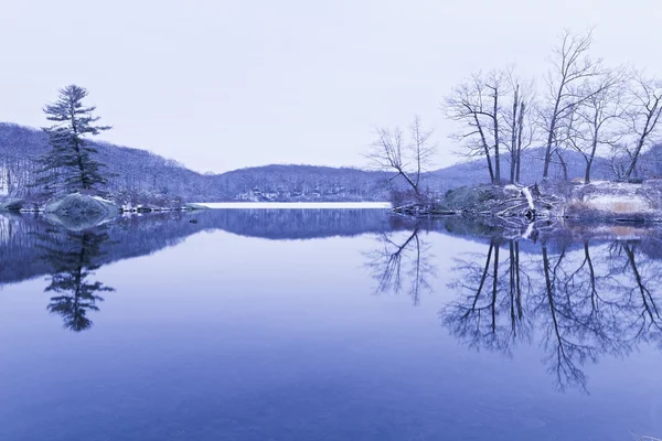 凍結の森林湖 — ストック写真