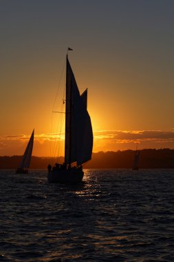Gün batımında yelkenli tekneler.