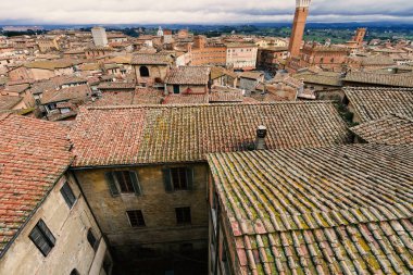 Çatı görünümü Siena İtalya