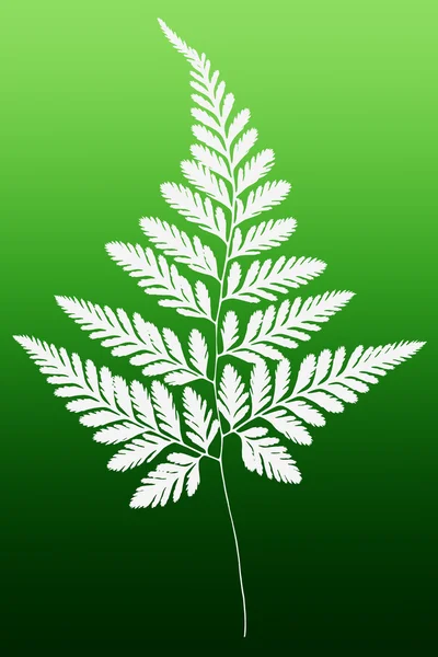 Vit Fern Leaf siluett — Stockfoto