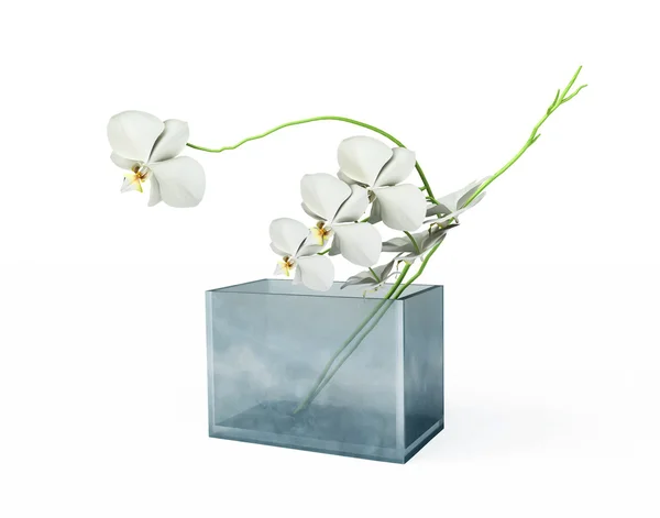 在 3d 中的花瓶白色兰花 — 图库照片