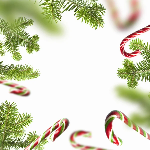 白い背景に伝統的なクリスマスのキャンディーの杖 緑のトウヒの枝で作られたフレーム 創造的な新年の概念 お祭りの装飾 キャラメルキャンディー クリスマスの休日のシンボル — ストック写真