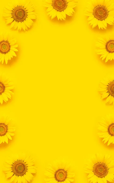 Рамка Красивих Свіжих Соняшників Яскраво Жовтому Тлі Плоский Простір Вид — стокове фото