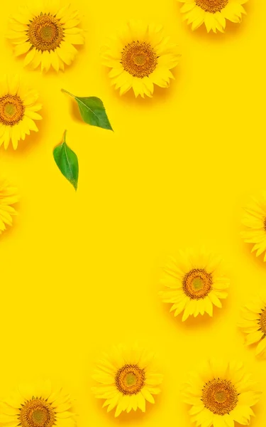 Квітковий Візерунок Каркас Красивого Свіжого Соняшника Зеленим Листям Жовтому Тлі — стокове фото