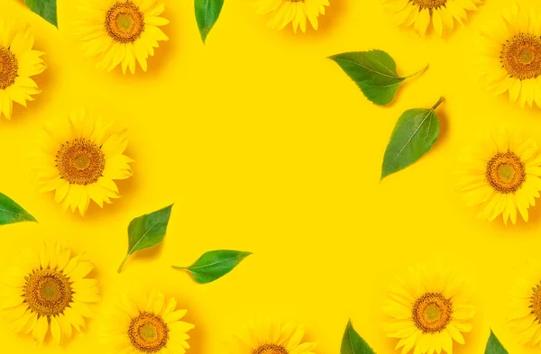 Квітковий Візерунок Каркас Красивого Свіжого Соняшника Зеленим Листям Жовтому Тлі — стокове фото