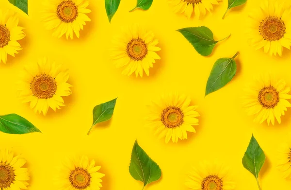 Квітковий Візерунок Прекрасний Свіжий Соняшник Зеленим Листям Жовтому Тлі Плоский — стокове фото