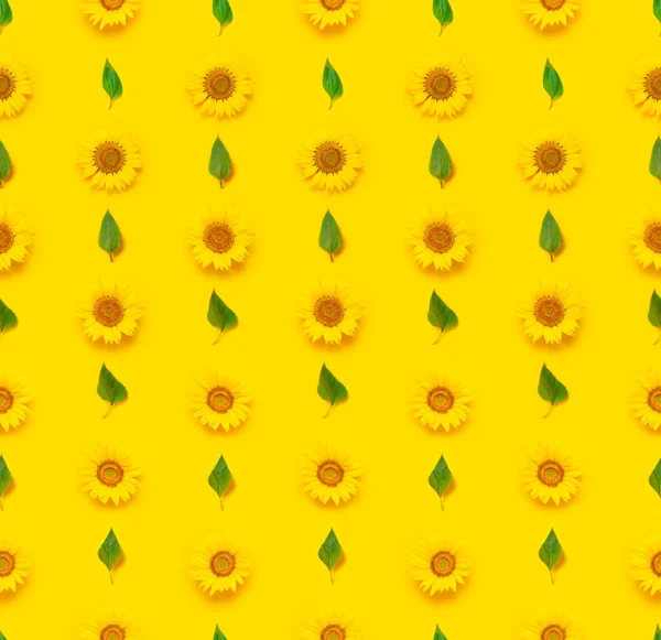 Wzór Bezszwowy Piękny Świeży Słonecznik Zielonymi Liśćmi Żółtym Tle Płaskie — Zdjęcie stockowe