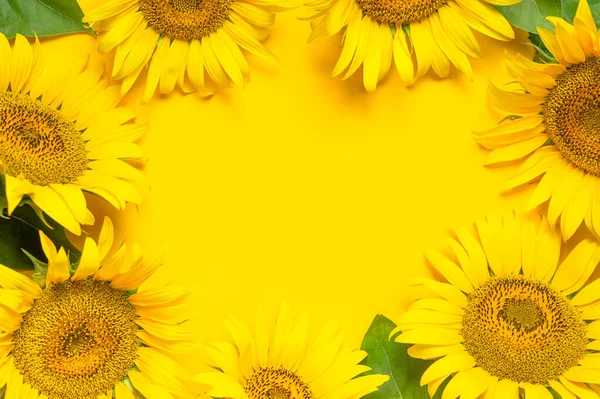 Рамка Красивої Квіткової Листівки Соняшників Творчий Фон Жовтими Соняшниками Зеленим — стокове фото