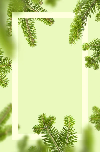 Fresh green spruce branches with rectangular frame on light green background. Fir tree mock up, Christmas or New Year decoration. Natural spruce, branches with needles. Winter, holiday card, layout — Stock Photo, Image
