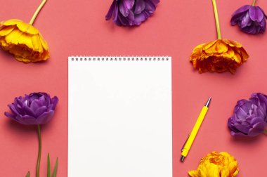 Bahar çiçekleri düzleşmişti. Sarı leylak rengi şakayık laleler beyaz albüm defteri pembe arka planda kalem yazıyor. 8 Mart, Anneler Günü, bayram, doğum günü düğünü veya mutlu bir olay için güzel bir tebrik kartı..