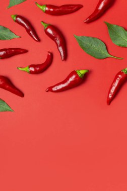 Chili biberli arka plan. Kırmızı arka planda sıcak kırmızı ve yeşil taze kırmızı biberler düz manzarada yatıyordu. Yemek için baharat, yemek için baharat, acı biber, yemek. Yaratıcı düzen, kırmızı biber deseni