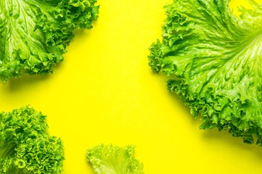 Parlak sarı zemin üzerinde taze yeşil marul yapraklarından yapılmış çerçeve düz üst görünüm yatıyordu. Salata, sağlıklı vejetaryen yiyecekler, ekolojik ürünler, sebze, diyet, vitaminler. Yiyecek konsepti.